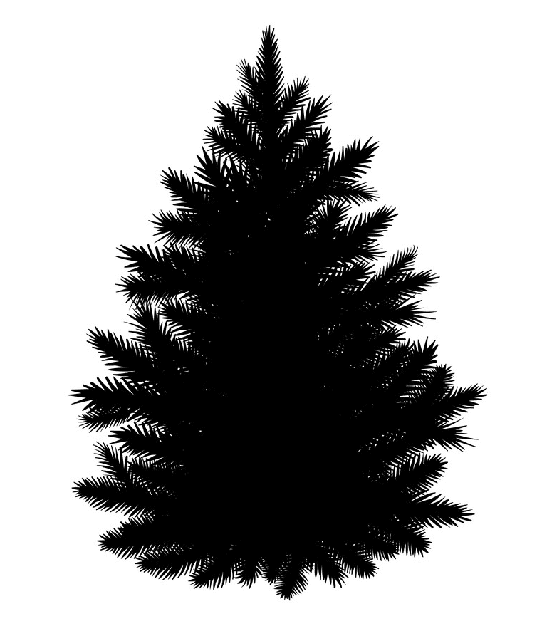 Pine Tree Silhouette free