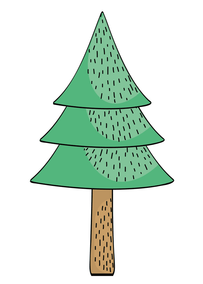 Pine Tree clipart 1