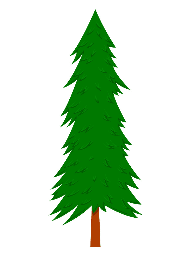 Pine Tree clipart 3