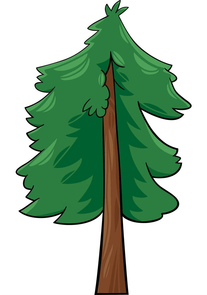 Pine Tree clipart 4