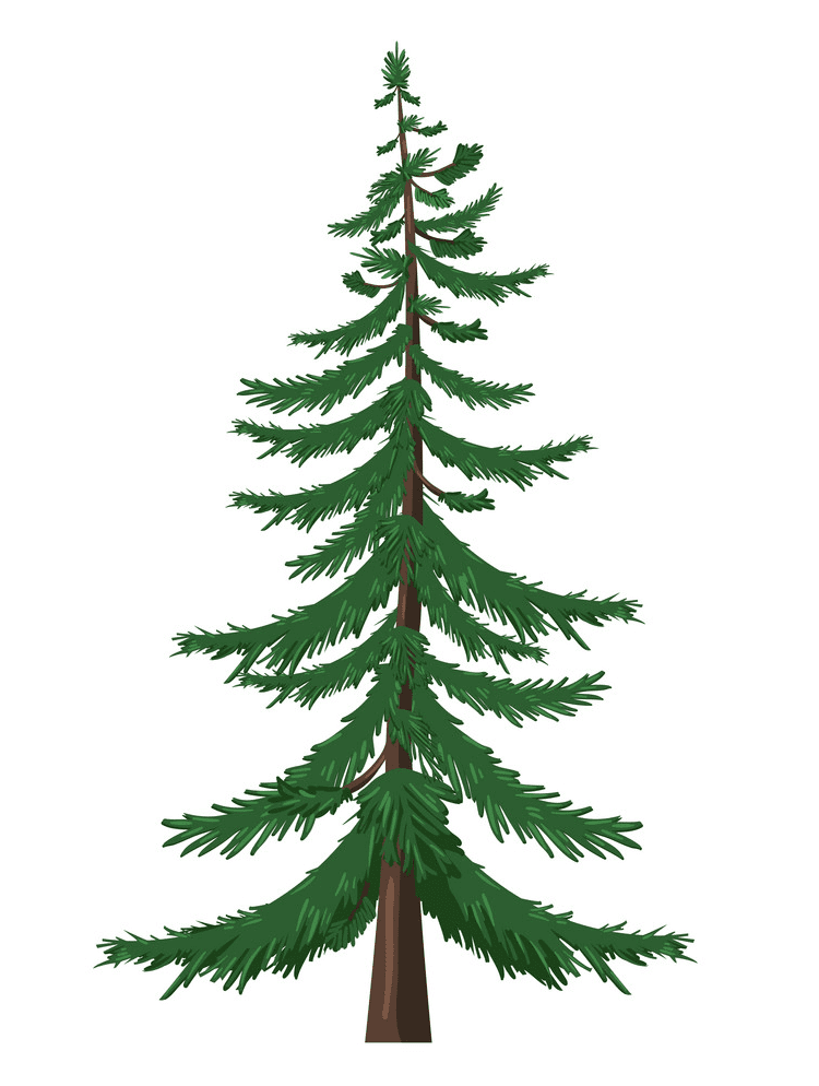 Pine Tree clipart free 2