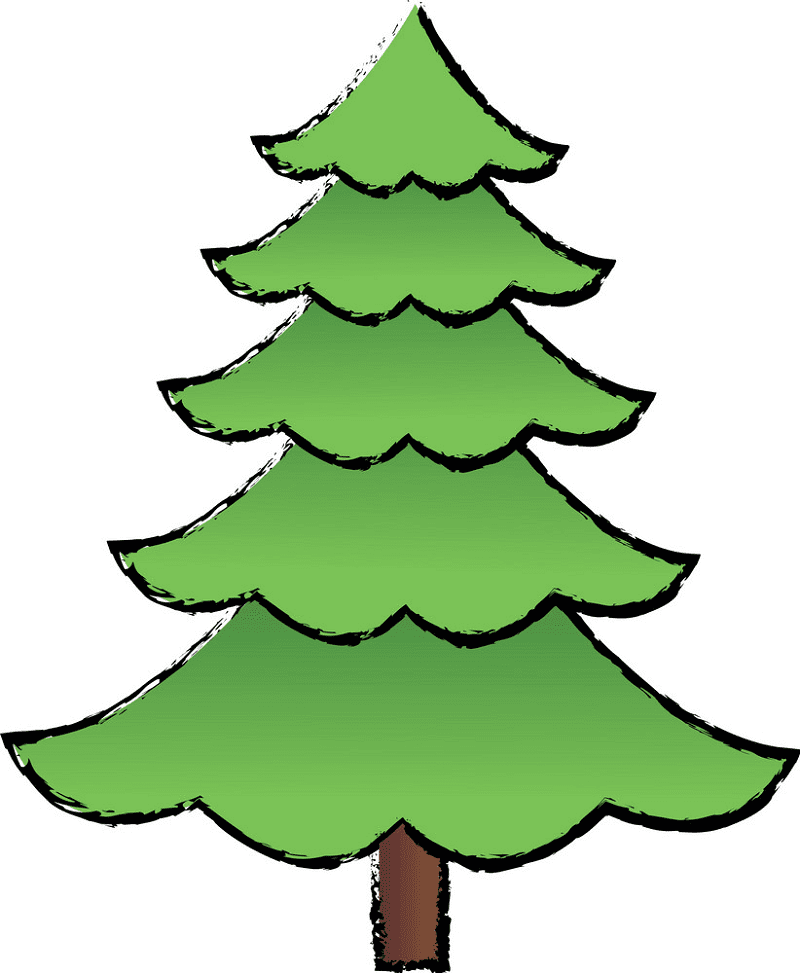 Pine Tree clipart png 1