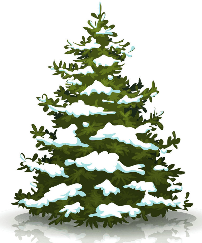 Pine Tree clipart png 2