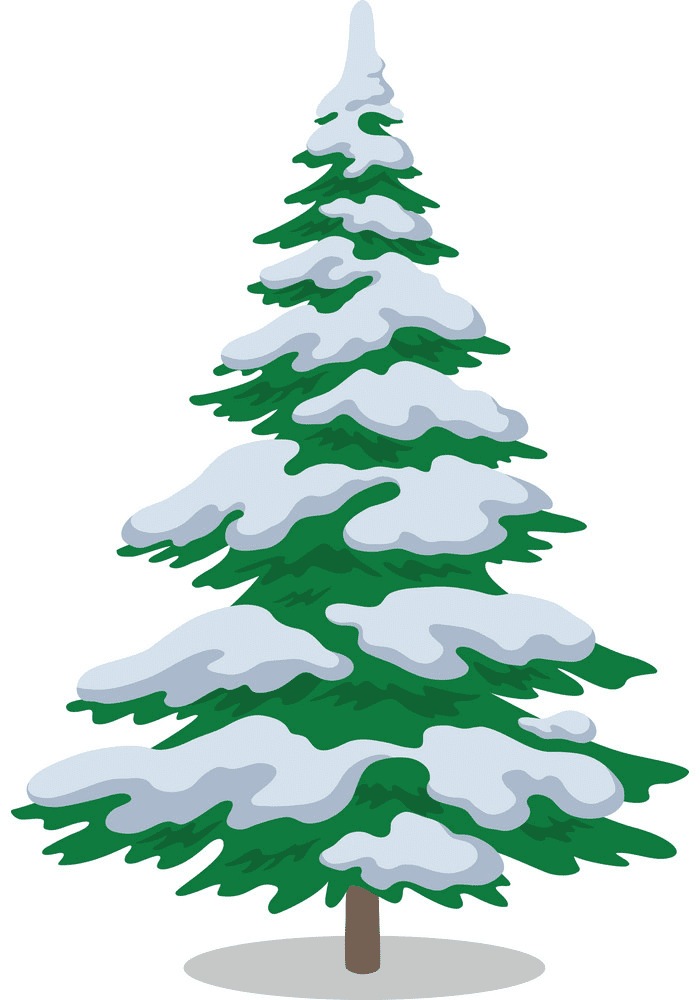 Pine Tree clipart png 3
