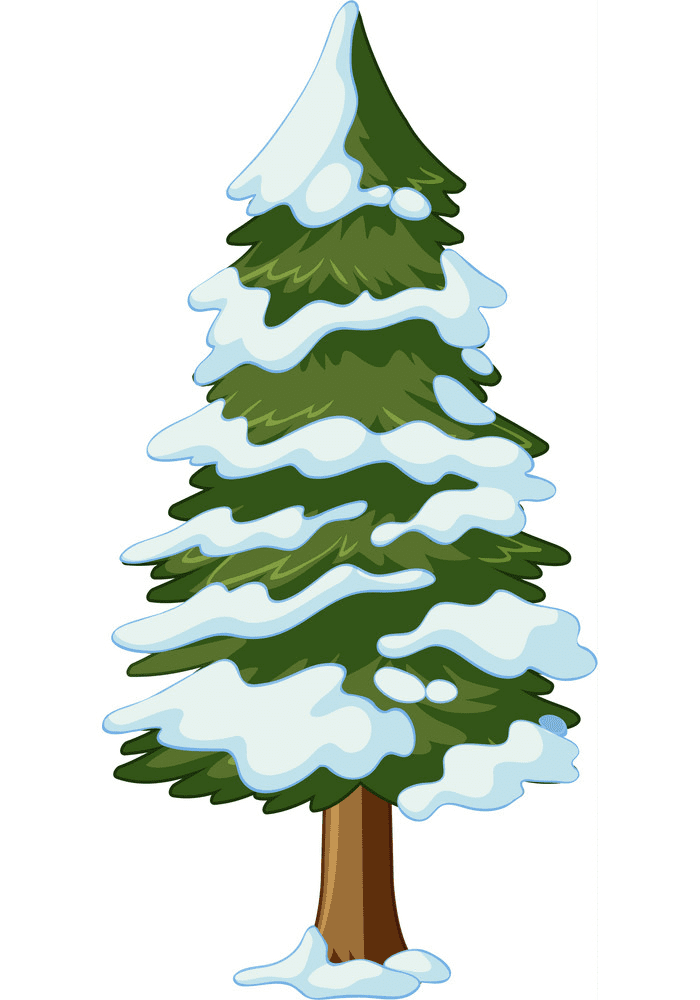 Pine Tree clipart png 4