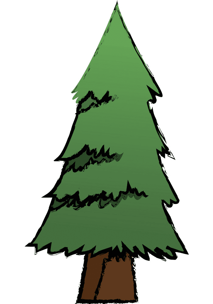 Pine Tree clipart png free