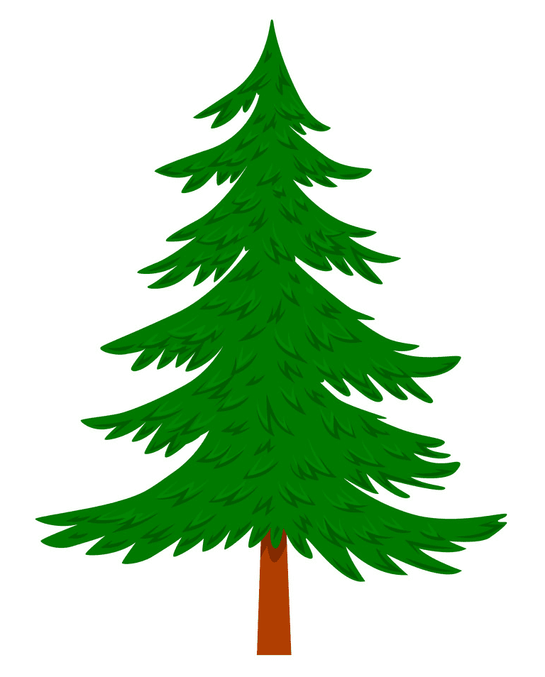 Pine Tree clipart png image