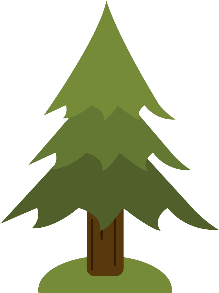 Pine Tree clipart transparent 1