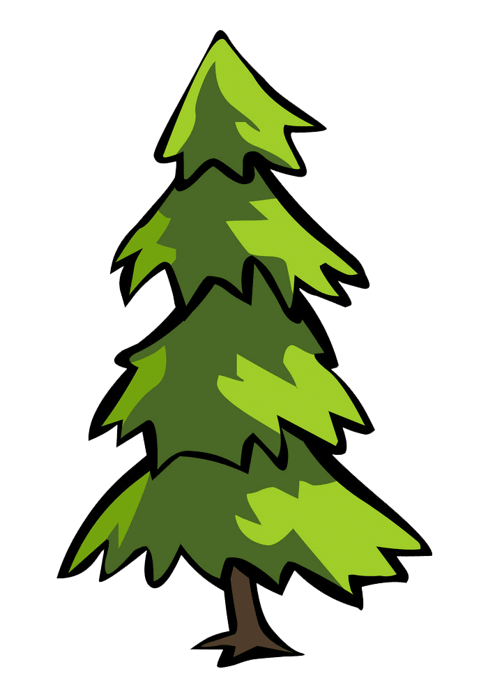 Pine Tree clipart transparent background 1