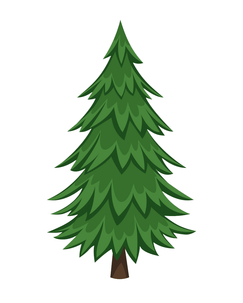Pine Tree clipart transparent background 4