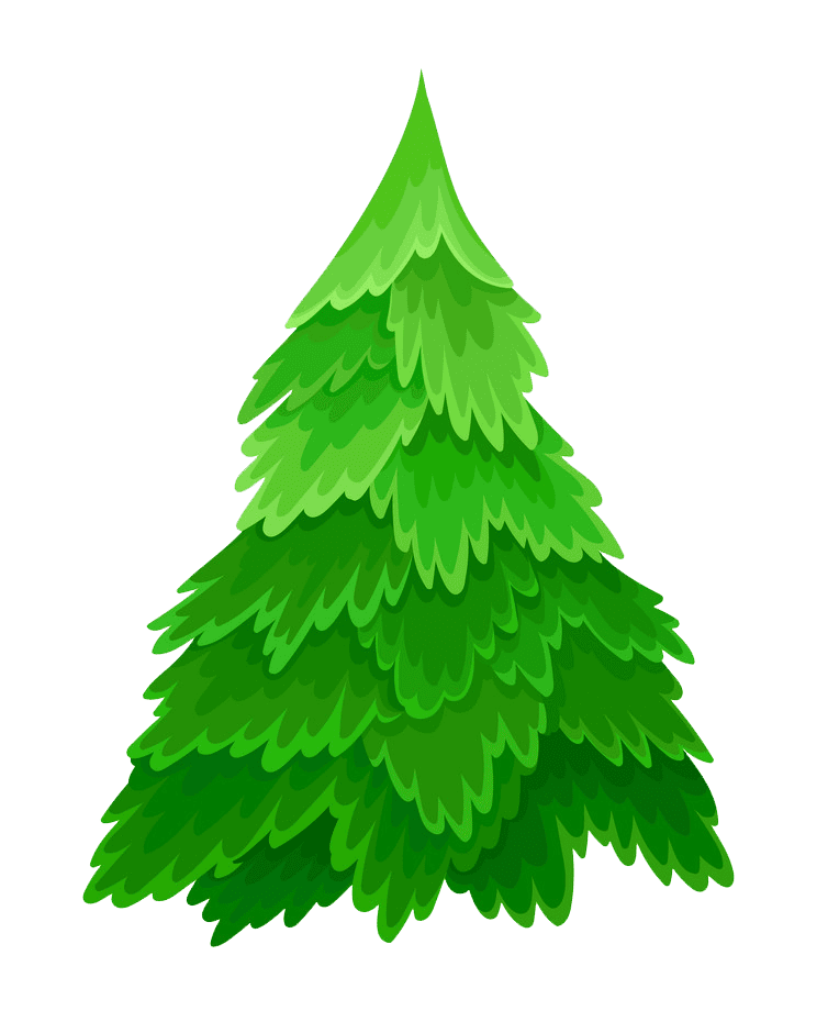 Pine Tree clipart transparent background