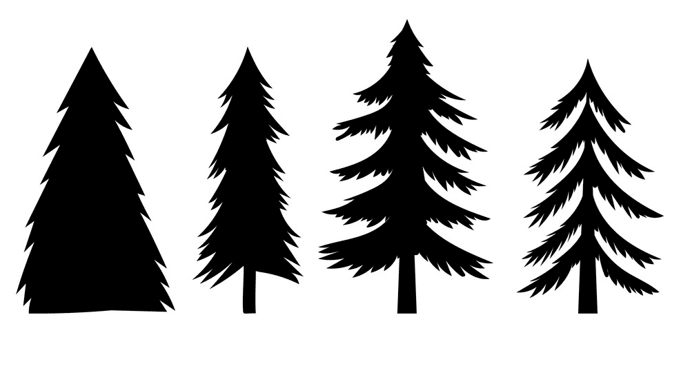 Pine Trees Silhouette image