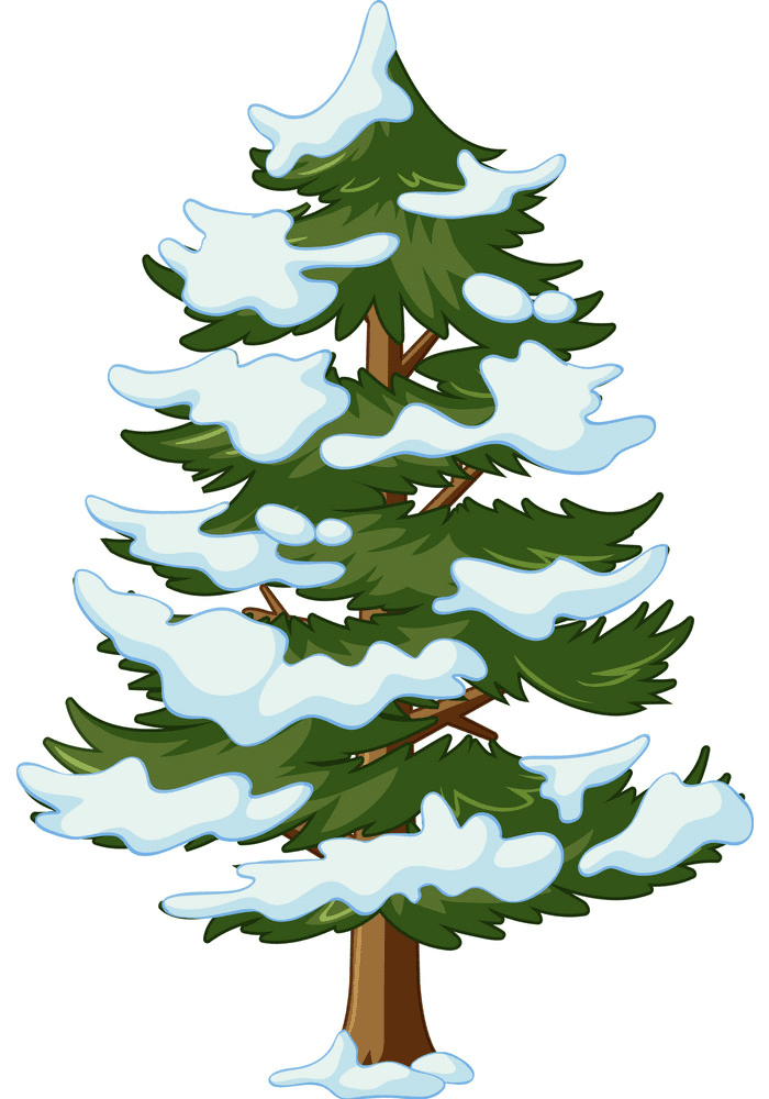 Snow Pine Tree clipart free