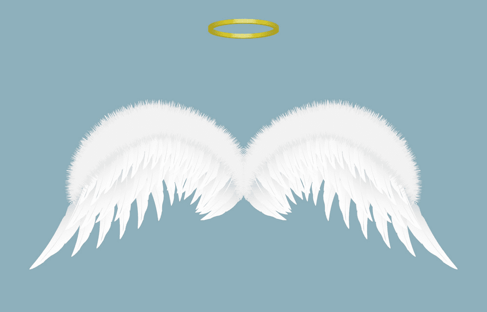 Angel Wings and Halo clipart png free