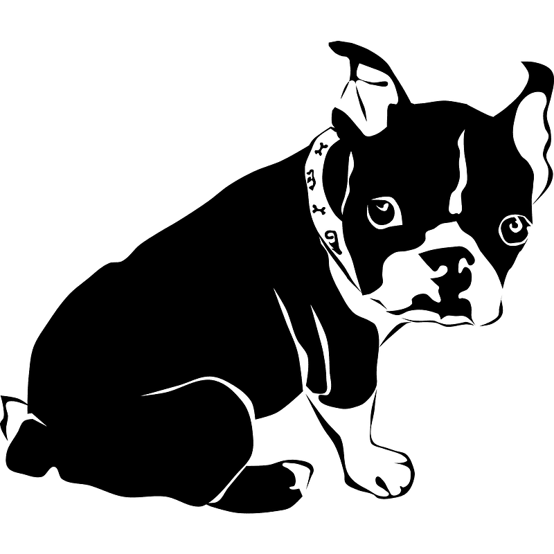 Bulldog transparent background clip art