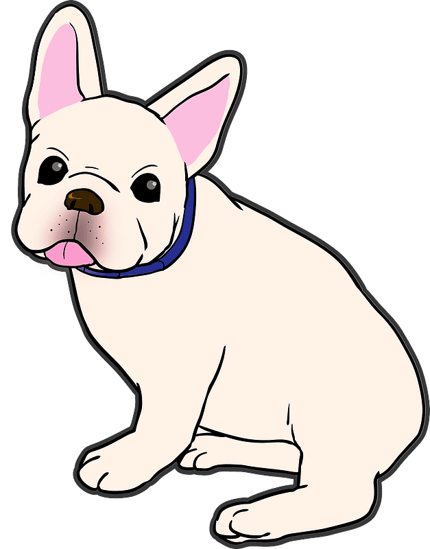 Bulldog transparent background image