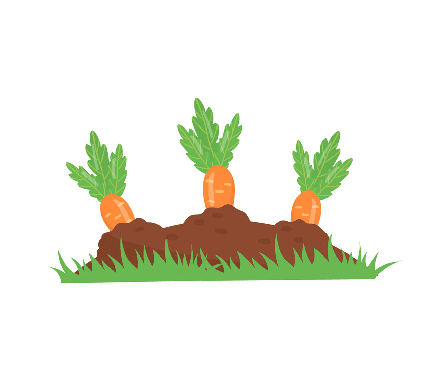 Carrot Garden clipart