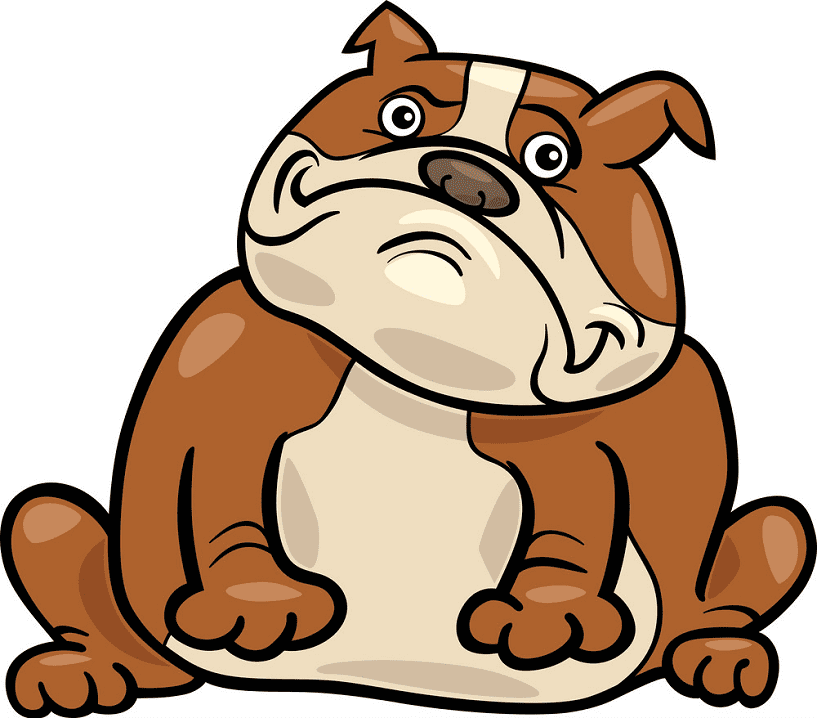 Cartoon English Bulldog clipart