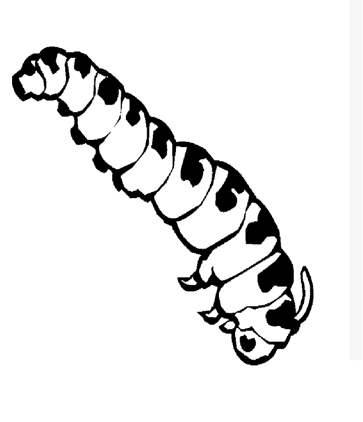Caterpillar Clipart Black and White png free