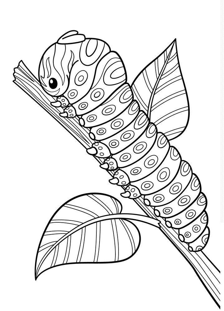 Caterpillar Clipart Black and White png image
