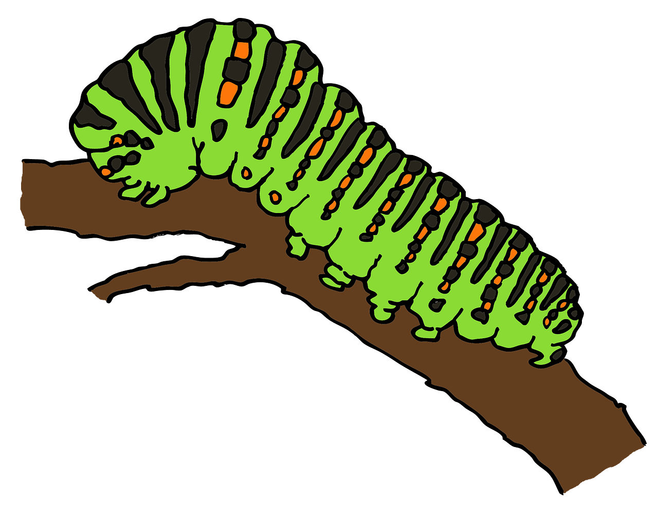 Caterpillar clipart transparent background 9