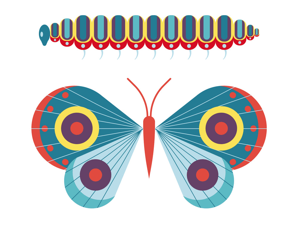 Caterpillar to Butterfly clipart png free