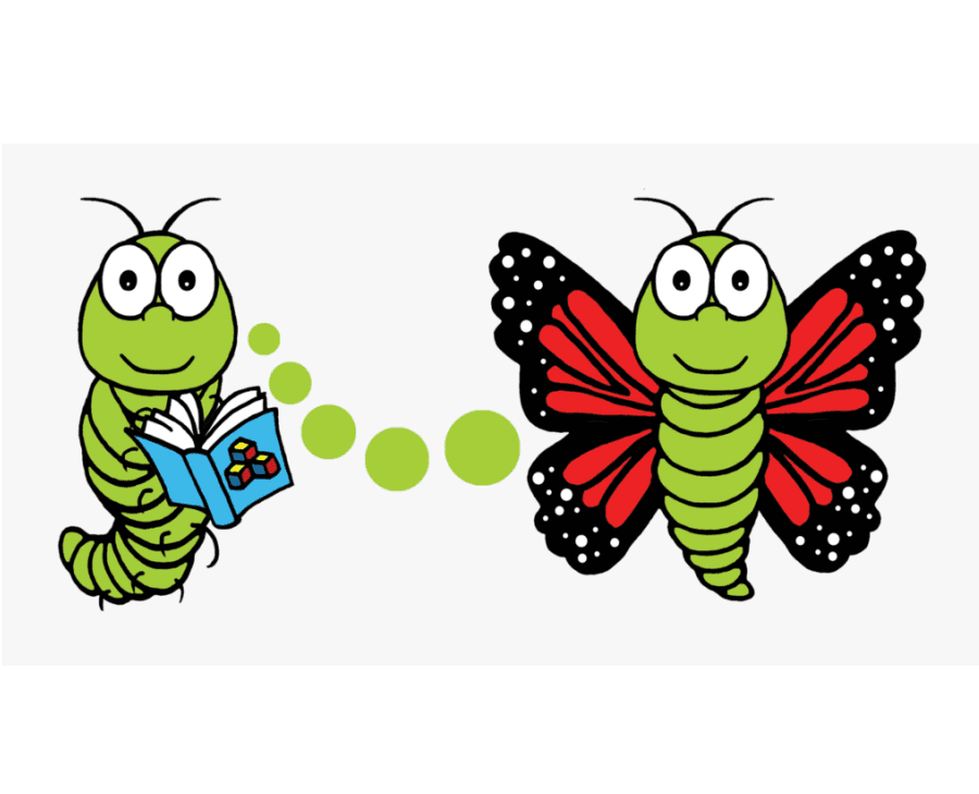 Caterpillar to Butterfly clipart png