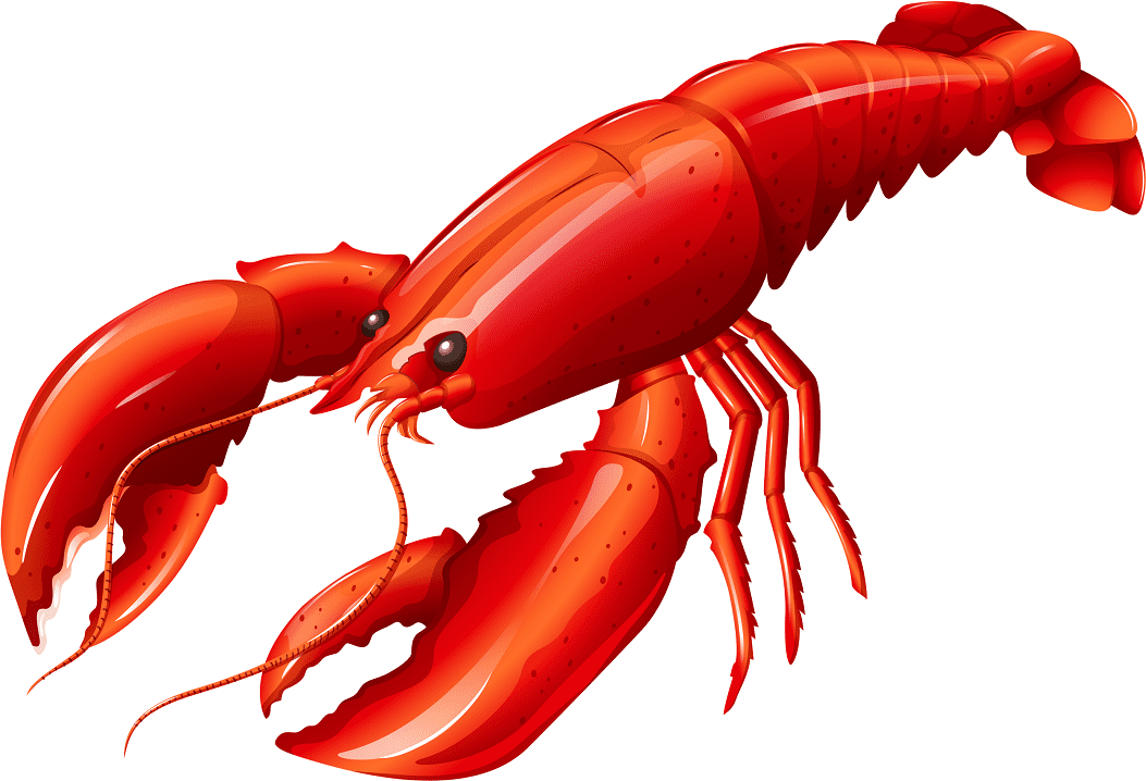 Clipart Lobster free
