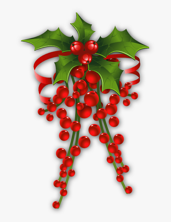Clipart Mistletoe free image