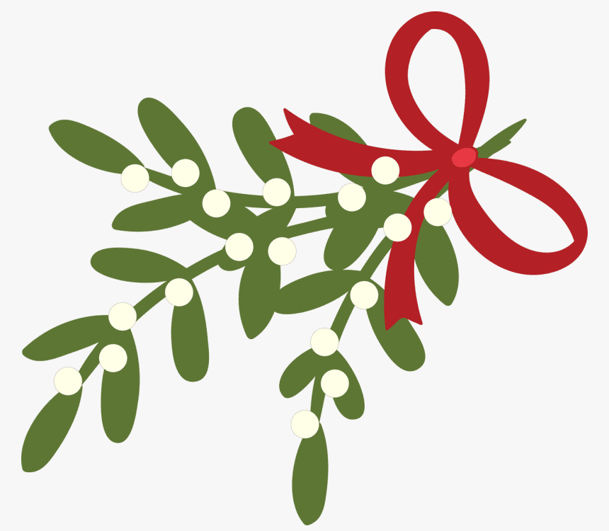 Clipart Mistletoe png image