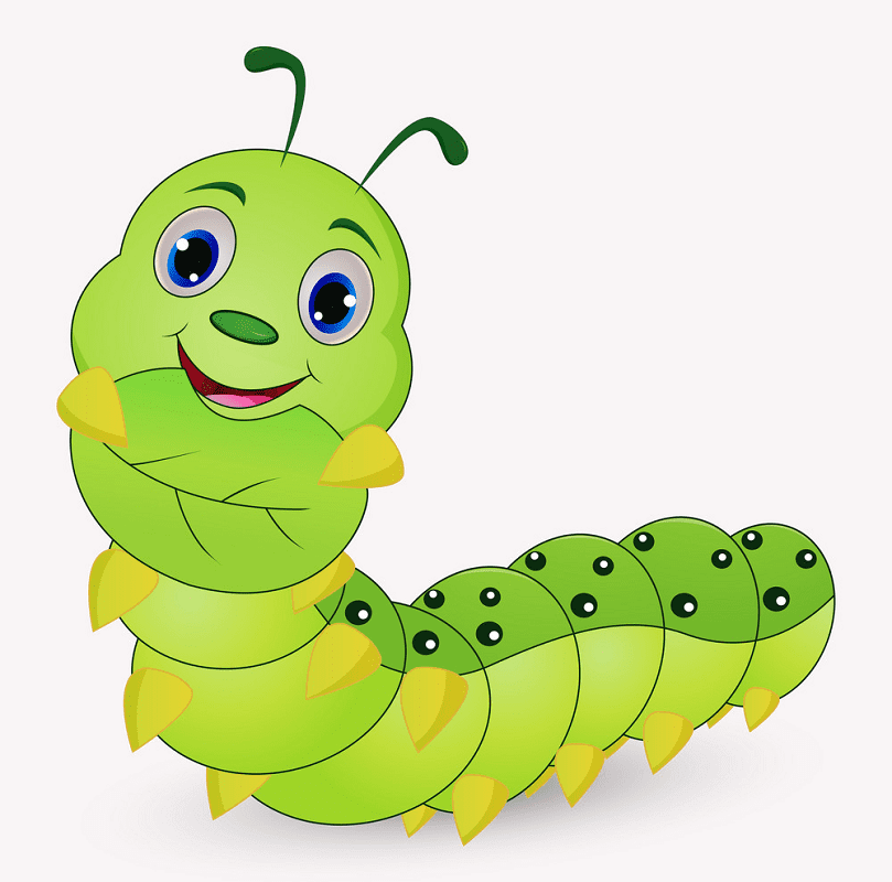 Cute Caterpillar clipart png