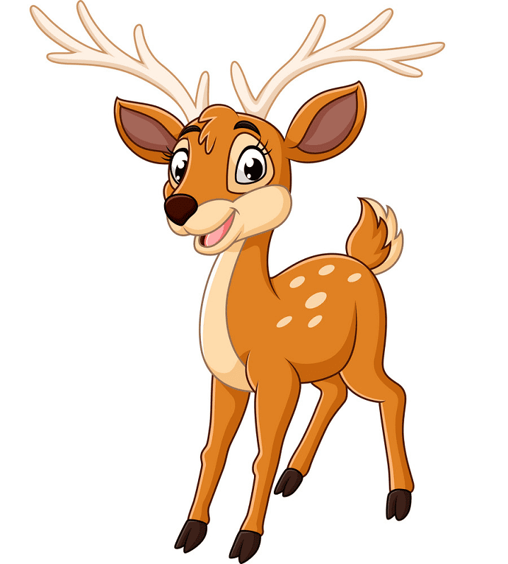 Cute Deer clipart png