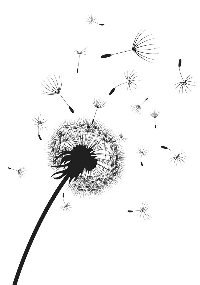 Dandelion Clipart Black and White picture