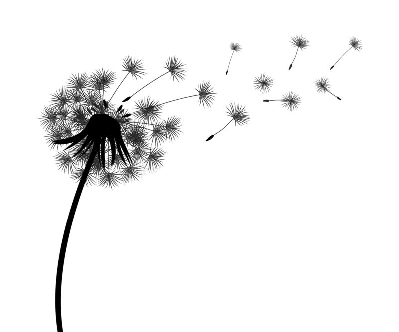 Dandelion Clipart Black and White png free