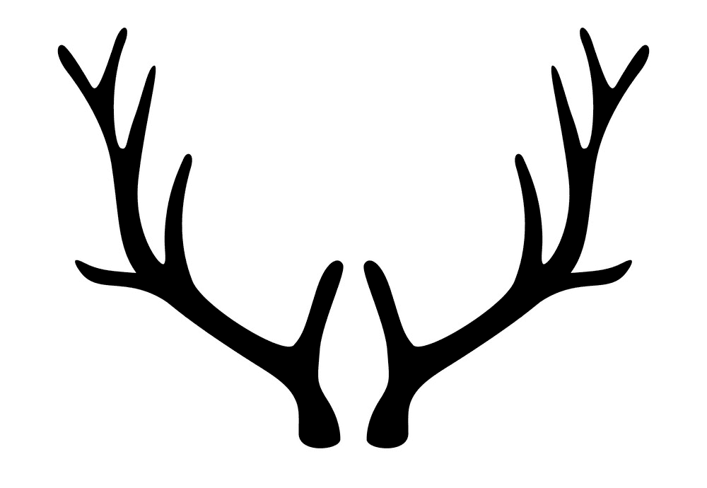 Deer Antlers clipart free image