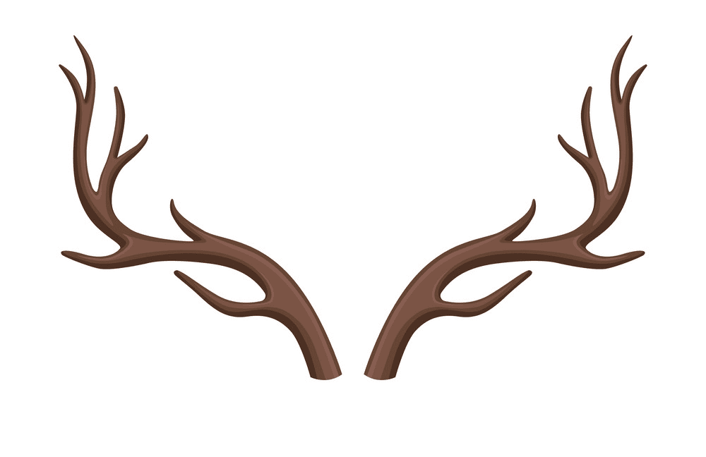 Deer Antlers clipart image