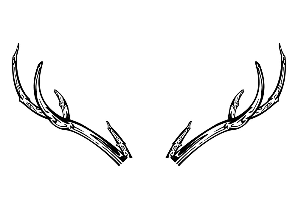 Deer Antlers clipart picture