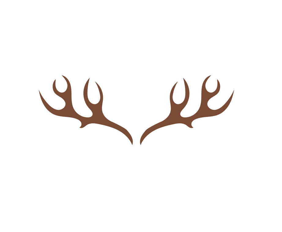 Deer Antlers clipart png image