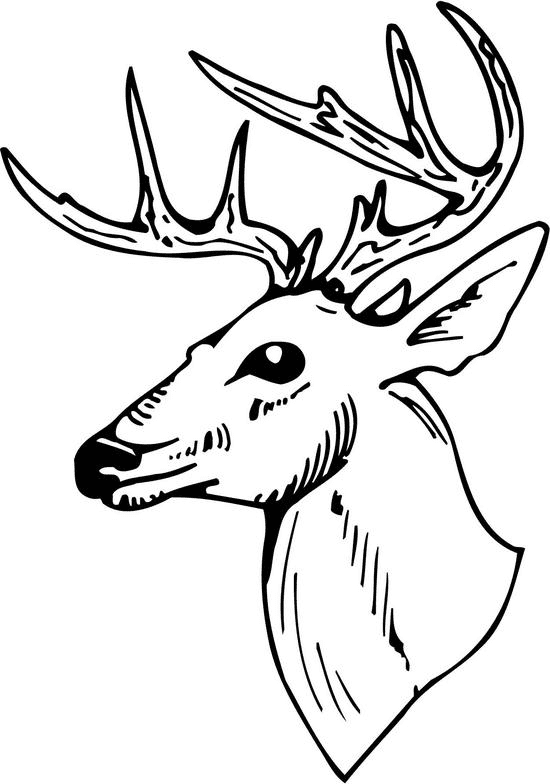 Deer Black and White clipart png image