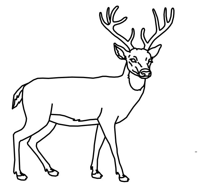 Deer Black and White clipart png
