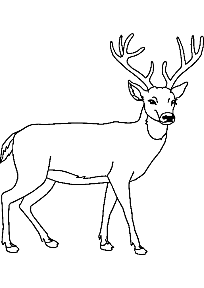 Deer Black and White clipart