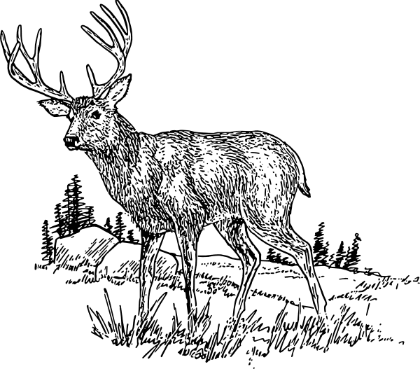 Deer Clipart Black and White free image