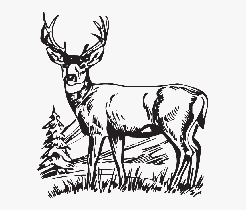 Deer Clipart Black and White images