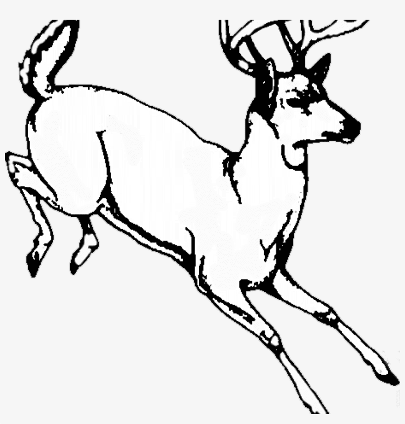 Deer Clipart Black and White png free