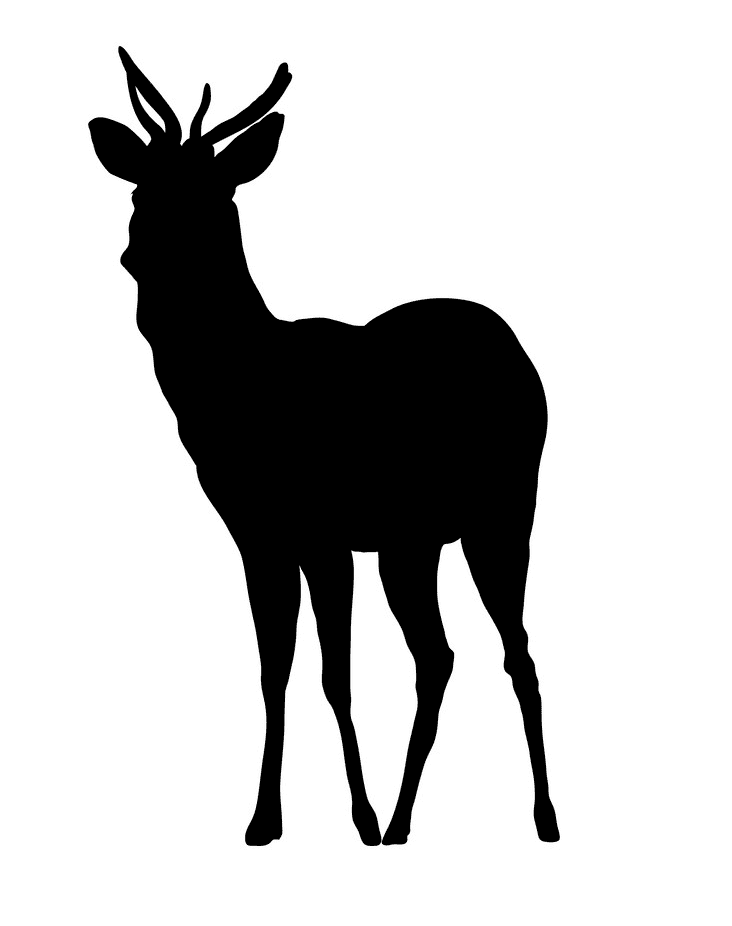 Deer Clipart Silhouette free