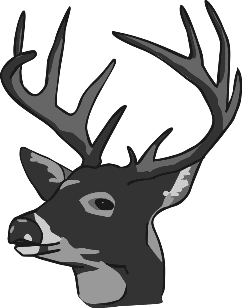 Deer Head clipart free image