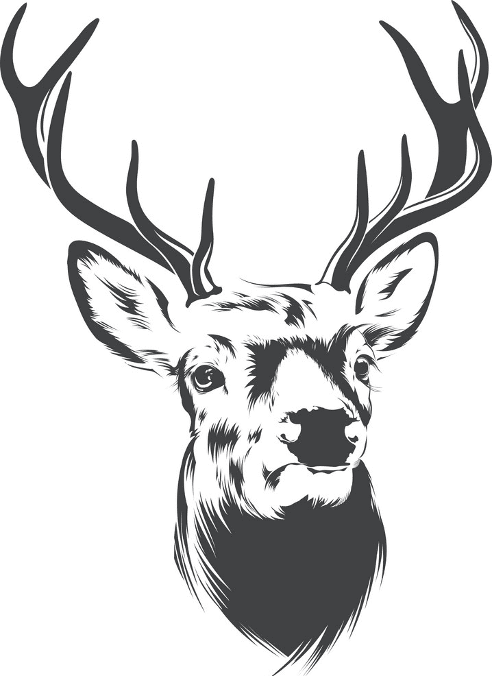 Deer Head clipart free images