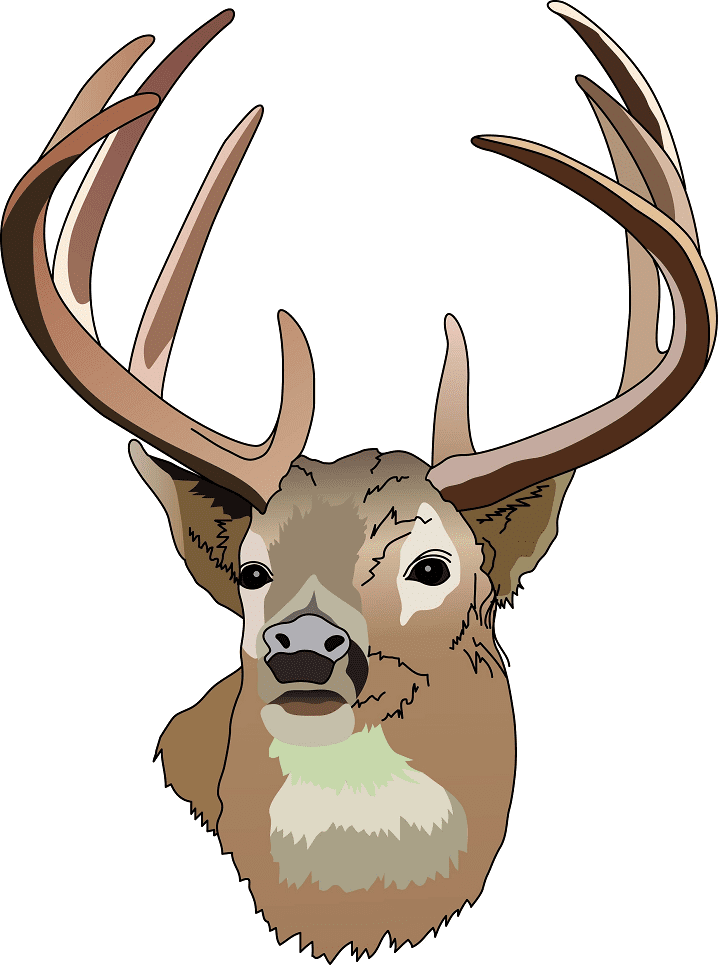 Deer Head clipart png free