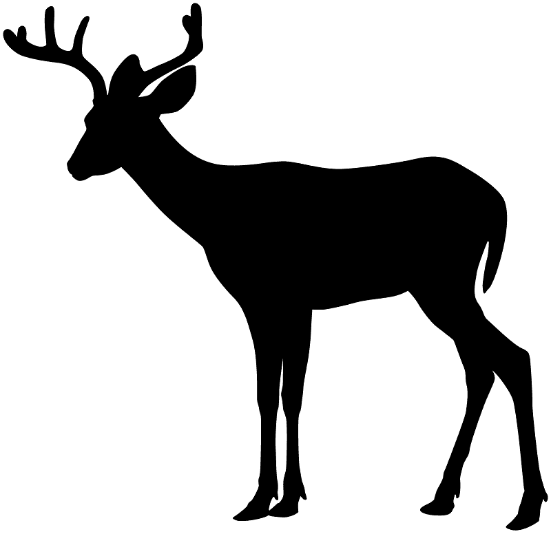 Deer Silhouette clipart image