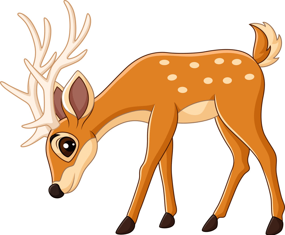 Deer clipart image